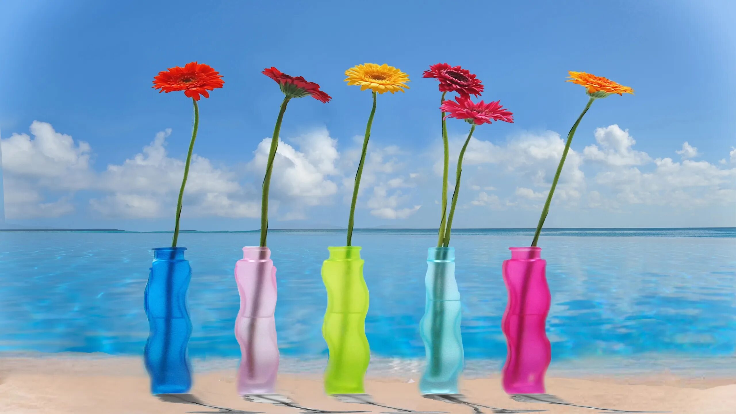 Цветы на фоне моря. Яркие цветы. Летний фон для рабочего стола. Заставка на рабочий стол лето. Рабочий стол настроение