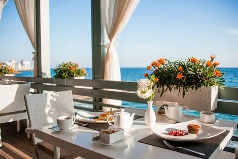 Новые кафе крыма