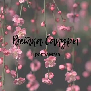 Ветвь soul