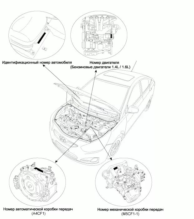 Номер двигателя хендай солярис 1.4 где находится Картинки HYUNDAI SOLARIS ЗАМЕНА АКПП