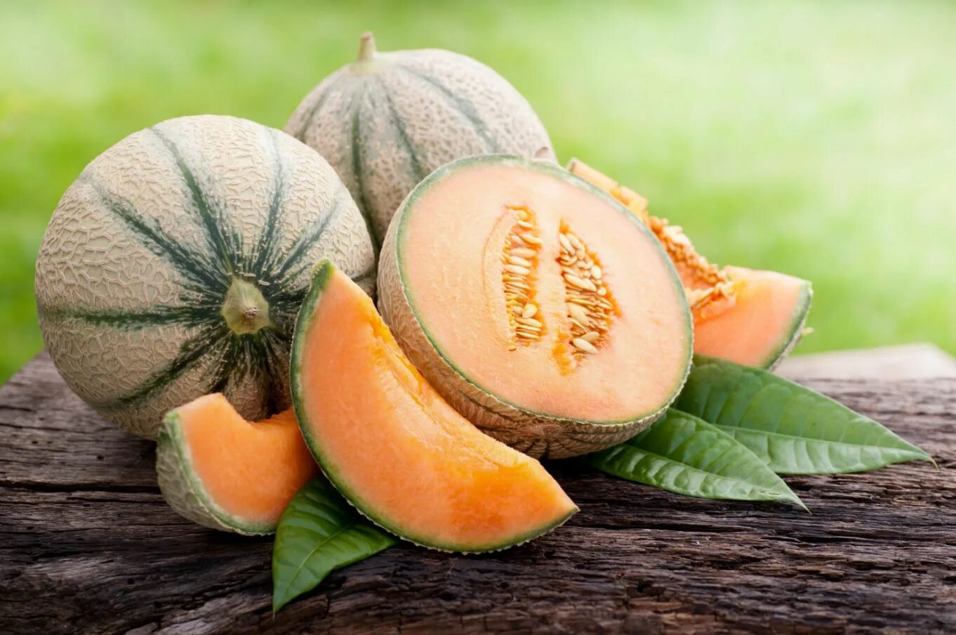 Дыня фото картинки. Дыня канталуп. Мускатная дыня канталупа. Sweet melon. Дыня вахарман.