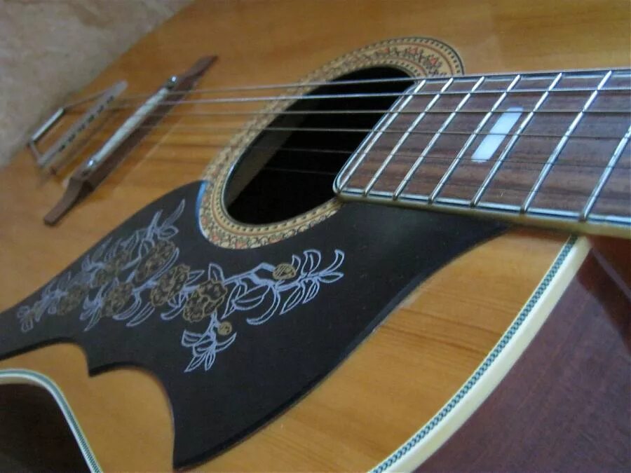 Adams 12. 12 струнная гитара башлачева. Adams 12. профессиональная гитара. 12 струнная гитара луначарского.