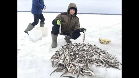 Рыбаки белого моря