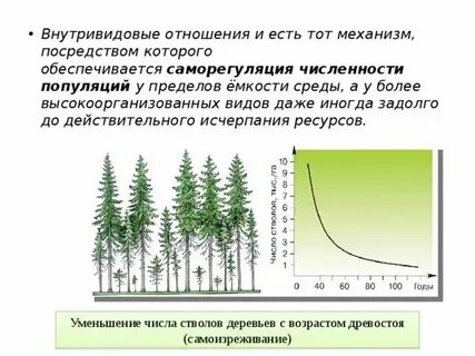 Внутривидовые отношения изучают на уровне