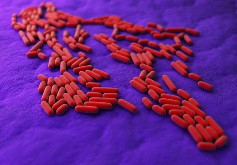 Гиф. Бактерия гриппа под микроскопом. Самый опасный микроб. Энтеробактерии кишечная палочка. Микробы большие.