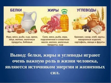 Продукты растительного происхождения белки жиры и углеводы