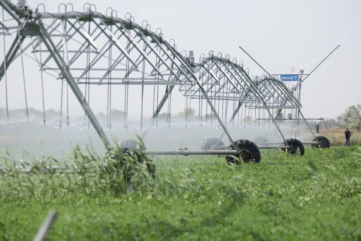 Проект мелиорации земель сельскохозяйственного. Мелиорация таджикистана. Растениеводство челябинской области. Проект мелиорации земель сельскохозяйственного. Сельскохозяйство сельхоз хозяйство в челябинской области.
