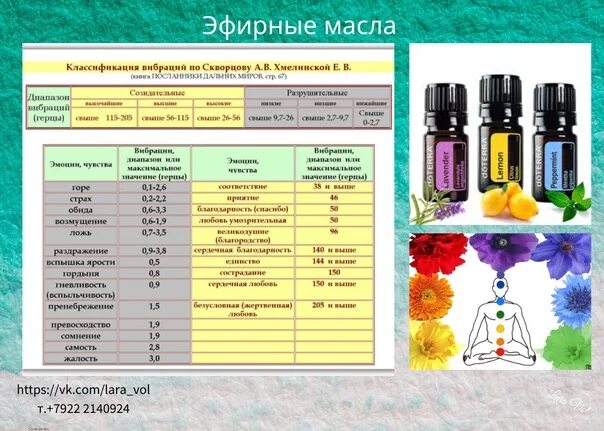 Овощи содержащие эфирные масла в повышенных количествах