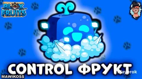 Blox fruits control