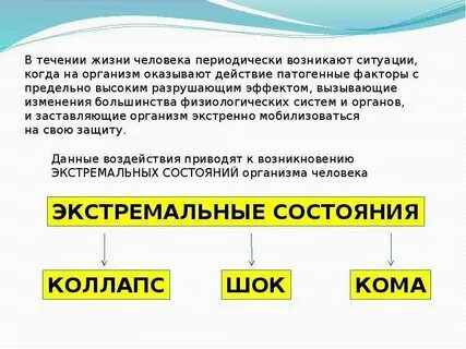 В течение всей жизни как пишется