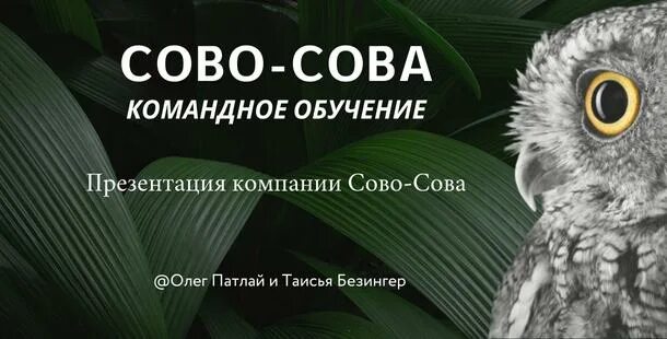 Сова сайт тольятти. Сово Сова компания. Презентация компании сово-Сова. Сово Сова презентация. Сова-Сова продукция.