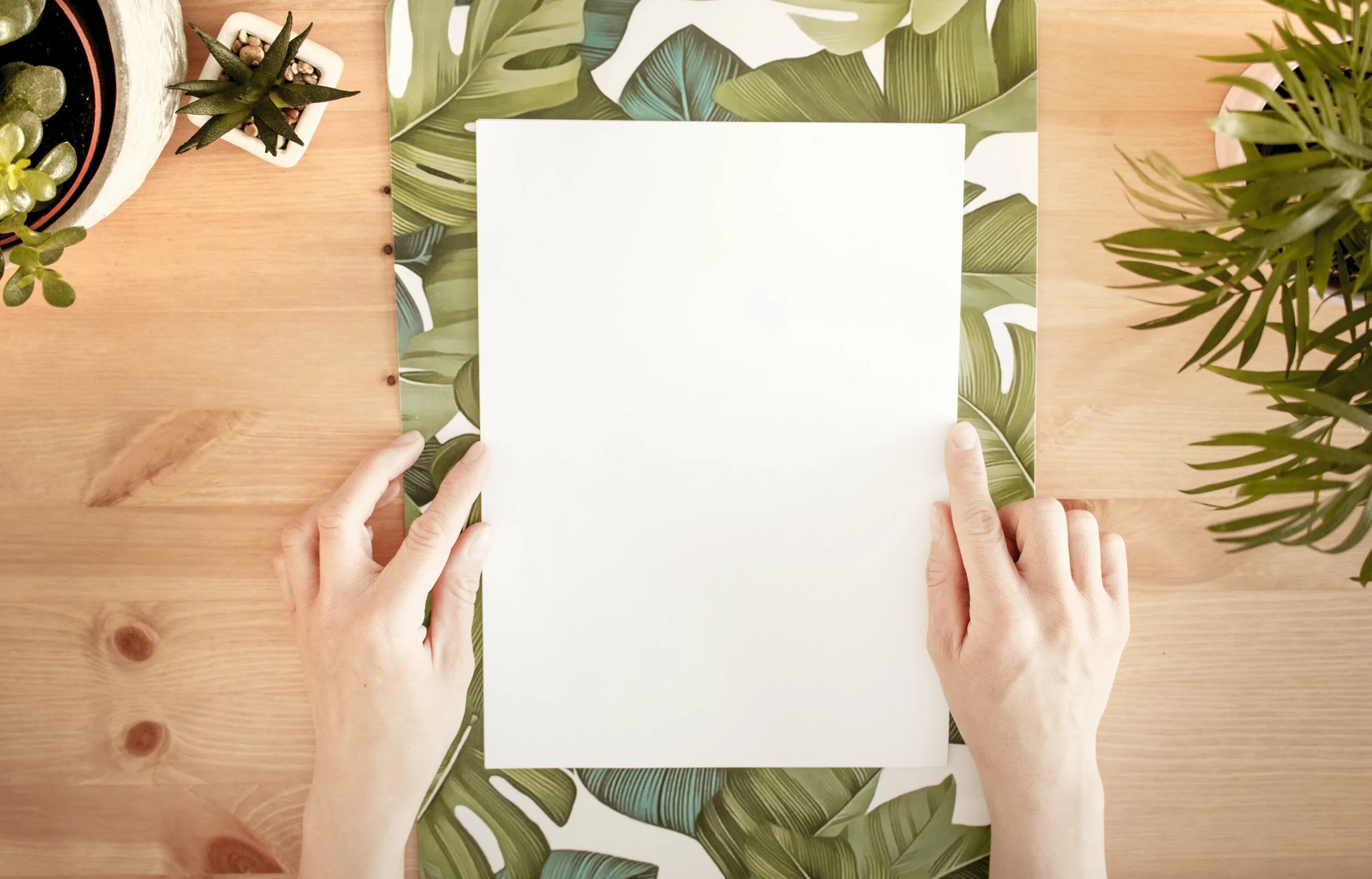 Choose paper