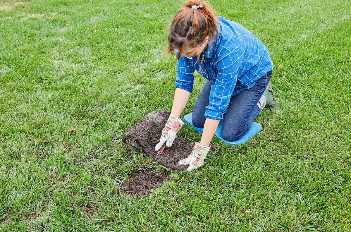 Go digging. Дернина газона. Восстановление газона. Подсеивание газонной травы. Восстановили газон.