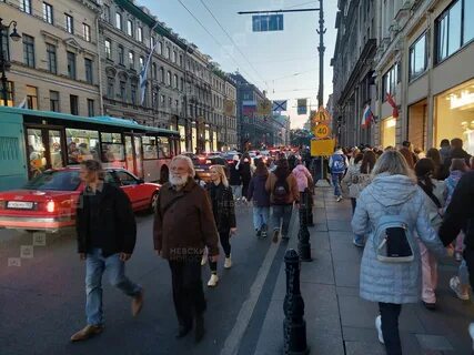 Невские новости петербург