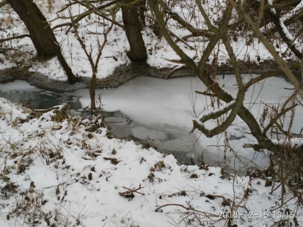 Стих пушкина гонимы вешними. Тярлевский ручей. Картина левитана проталины. Тает снег бегут ручьи. Отдельный парк в пушкине.