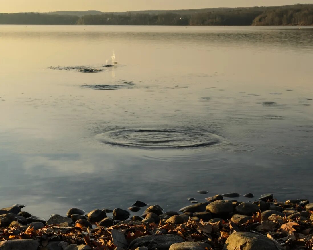 Skipping stones. Круги на воде. Камушки по воде. Камешек по воде. Камешки бросают в воду.