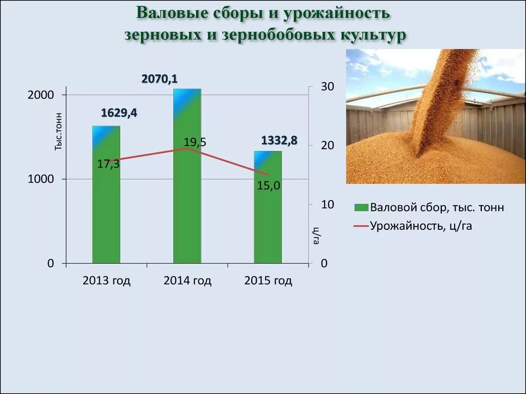 Урожайность зерновых. Урожайность зерновых культур. Валовый сбор зерновых и зернобобовых культур. Валовые сборы сельскохозяйственных культур. График урожайности