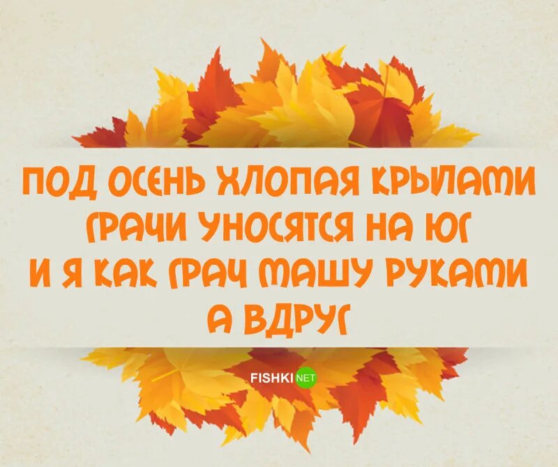 Равна 10 октября. Осенние фразы. Высказывания про осень. Осенние цитаты. Осенние статусы в картинках.