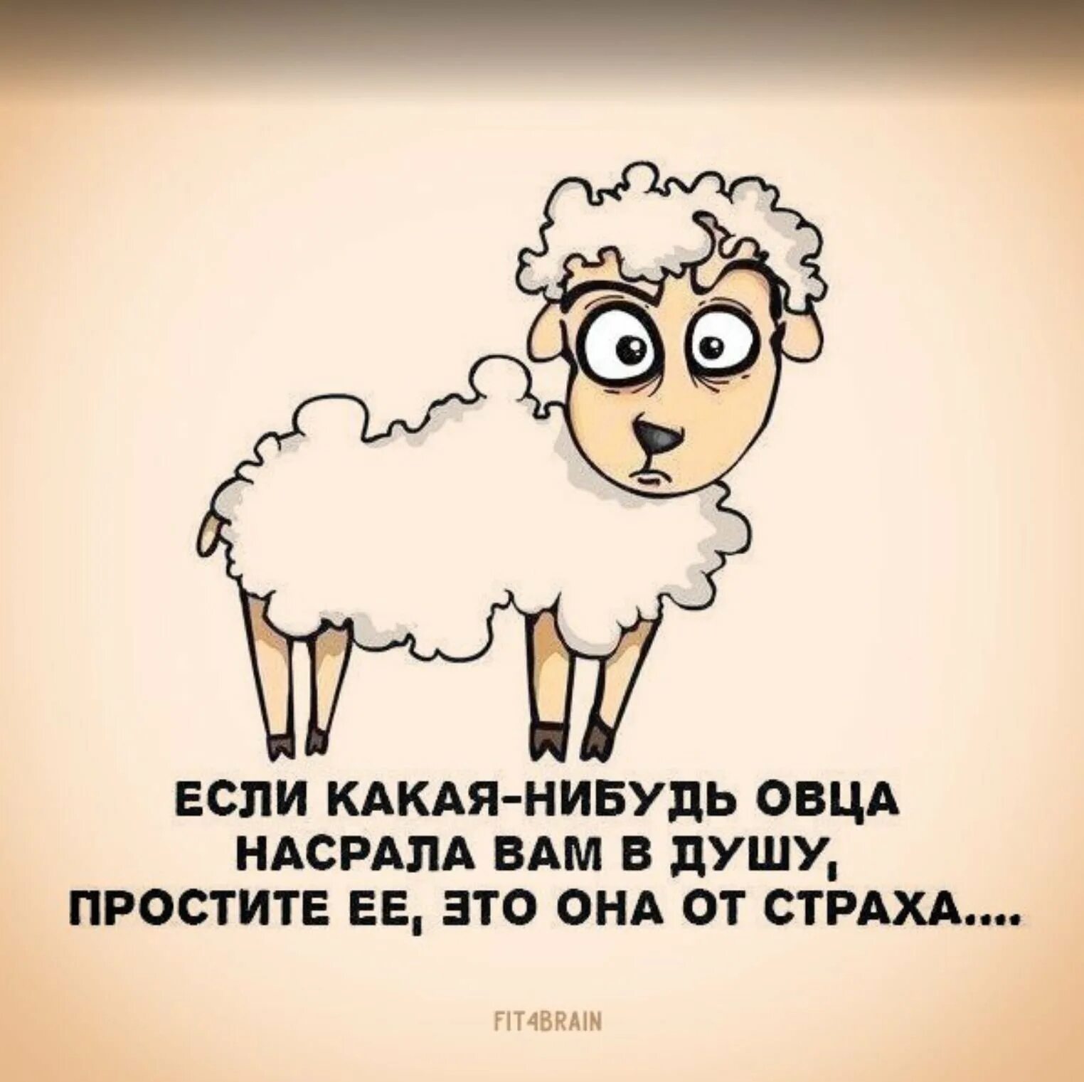 Прощение прикол