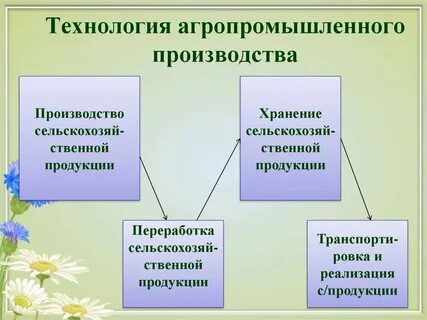 Отрасль агропромышленного производства
