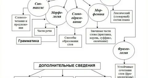 Язык науки план