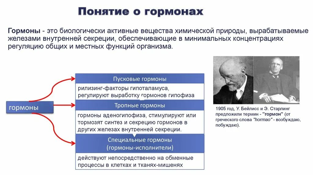 Почему выполнив свою задачу гормон. Понятие о гормонах. понятие о гормонах их значение. определение понятия гормоны. понятие о гормонах кратко.