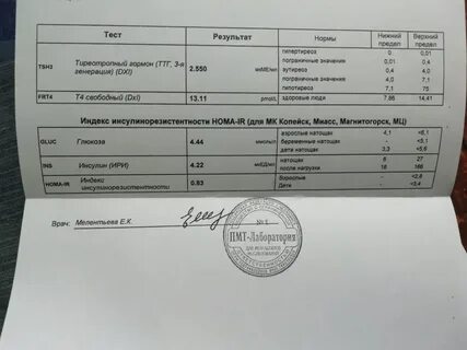 Ттг день цикла