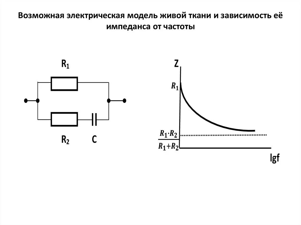 Частотная зависимость импеданса биологических тканей. Частотная зависимость импеданса биологических тканей