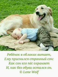 Безопасная собака для детей