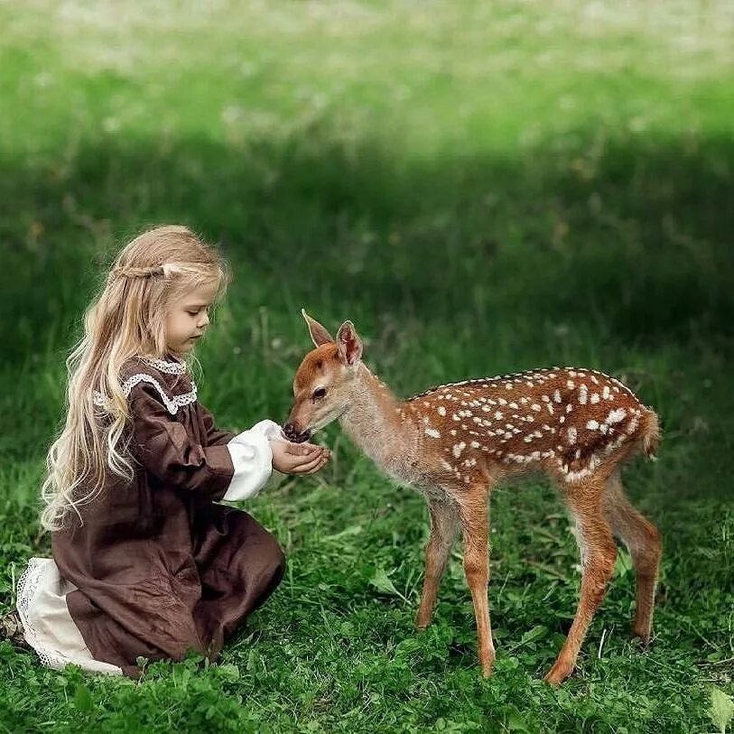 Животные дети просмотра. Олениха с олененком. Девочка с олененком. Для детей. Животные. Дикие животные для детей.
