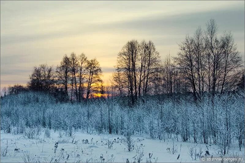 Серый день короче