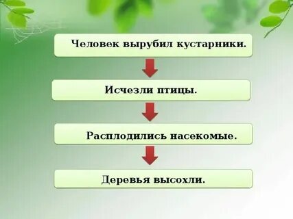 Невидимые связи окружающий мир