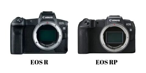 Canon r50