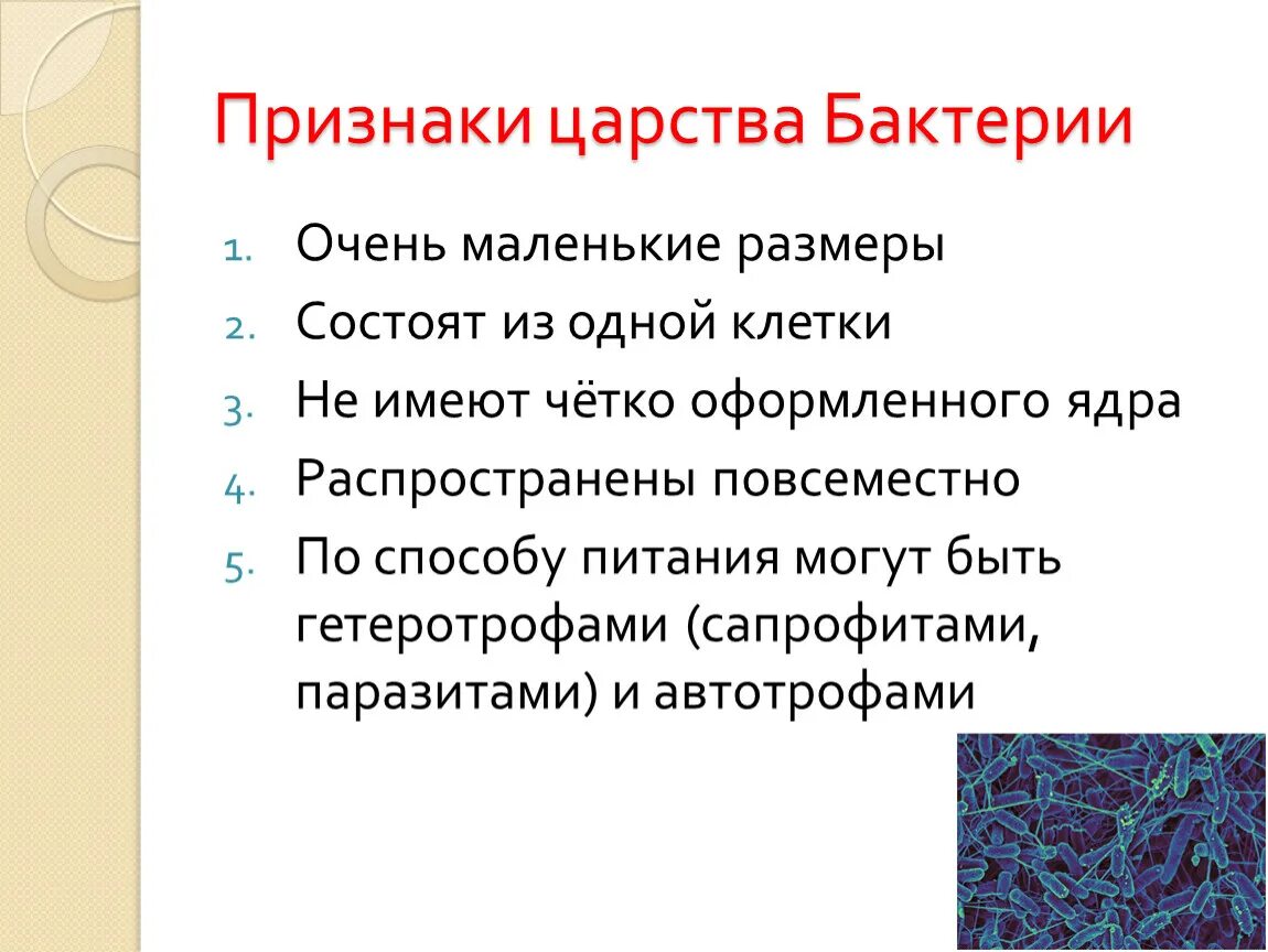 Признаки представителей царства бактерий. Основные признаки царства бактерий 5 класс. Характерные признаки для царства бактерий 5 класс. Характеристика царства бактерий. Общая характеристика бактерий 7 класс биология презентация