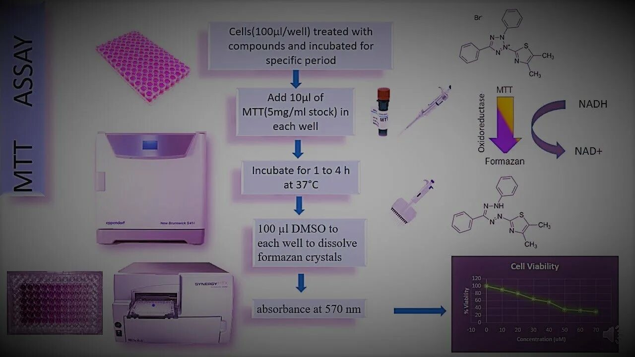 Мтт не работает. Мтт assay. схема мтт теста. mtt тест. мтт тест методика.