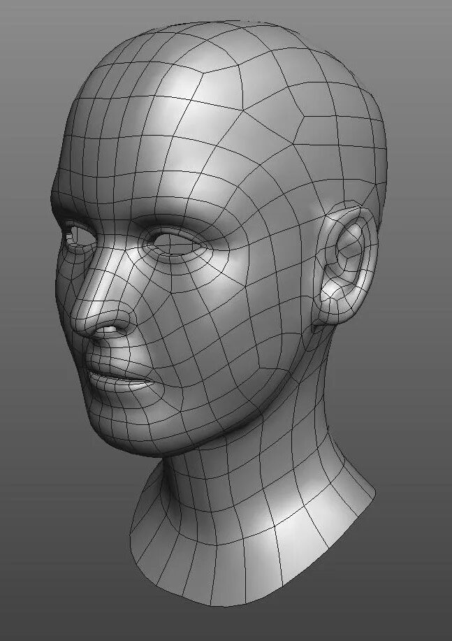 Blender head