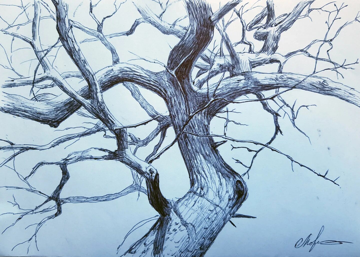 Tree pen
