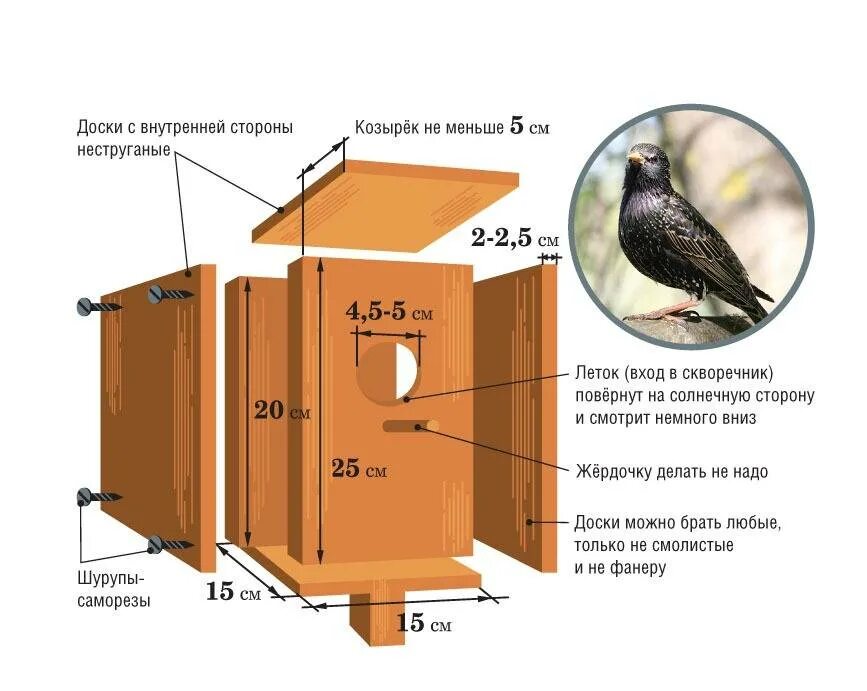 Скворечник в какую сторону света. Оптимальные Размеры скворечника для Скворцов чертеж и Размеры. Правильные Размеры скворечника чертеж для Скворцов. Размеры скворечника для Скворцов Размеры. Правильные Размеры скворечника для Скворцов.