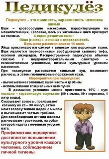 Карантин по педикулезу в детском саду