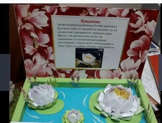 Поделки на тему красная книга глазами детей. Разнообразные поделки. Я и красная книга конкурс поделок. Я и красная книга конкурс поделок. Конкурс детских поделок я и красная книга.