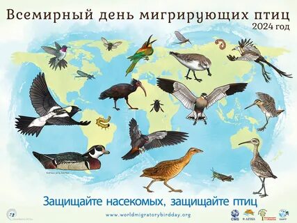 Всемирный день перелетных птиц в детском саду