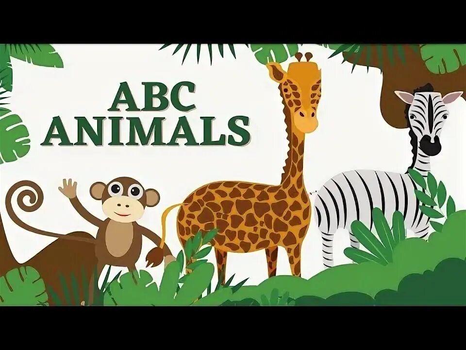 Abc animals. Abc animals song.