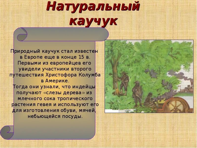 История открытия природного каучука. Родина каучука. История открытия каучука. История открытия каучука кратко. Природный каучук.
