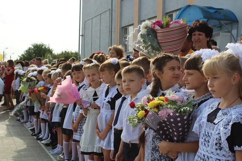 Главная школа 22. Школа 22 Ипатово. Сайт школы 1 Ипатово Ставропольский край. Школа 1 г Ипатово Ипатовского района Ставропольского края.