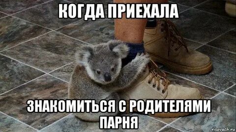 Знакомят ее с