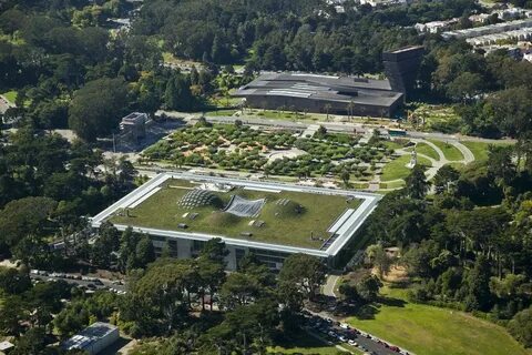 National academy of sciences