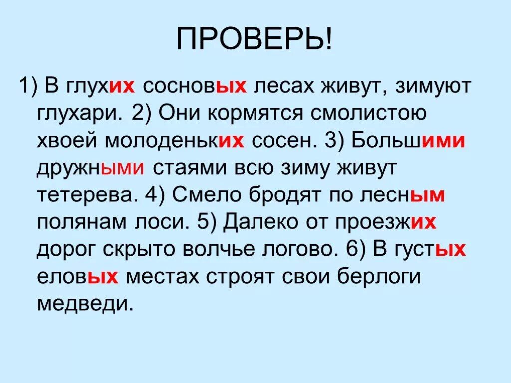 Глухой лес определение. Зимой в глухих сосновых лесах живут глухари. в глухих сосновых лесах. в лесах глухих живут. в лесах зимой живут сосновых глухари.