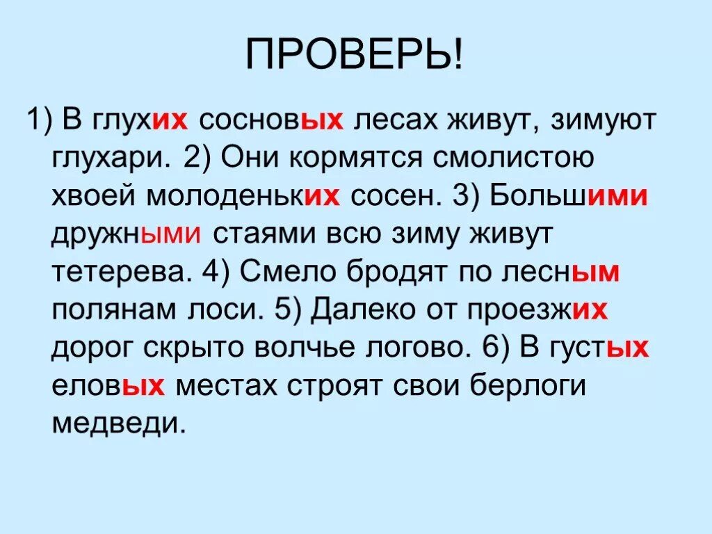 В лесах зимой живут сосновых глухари составить