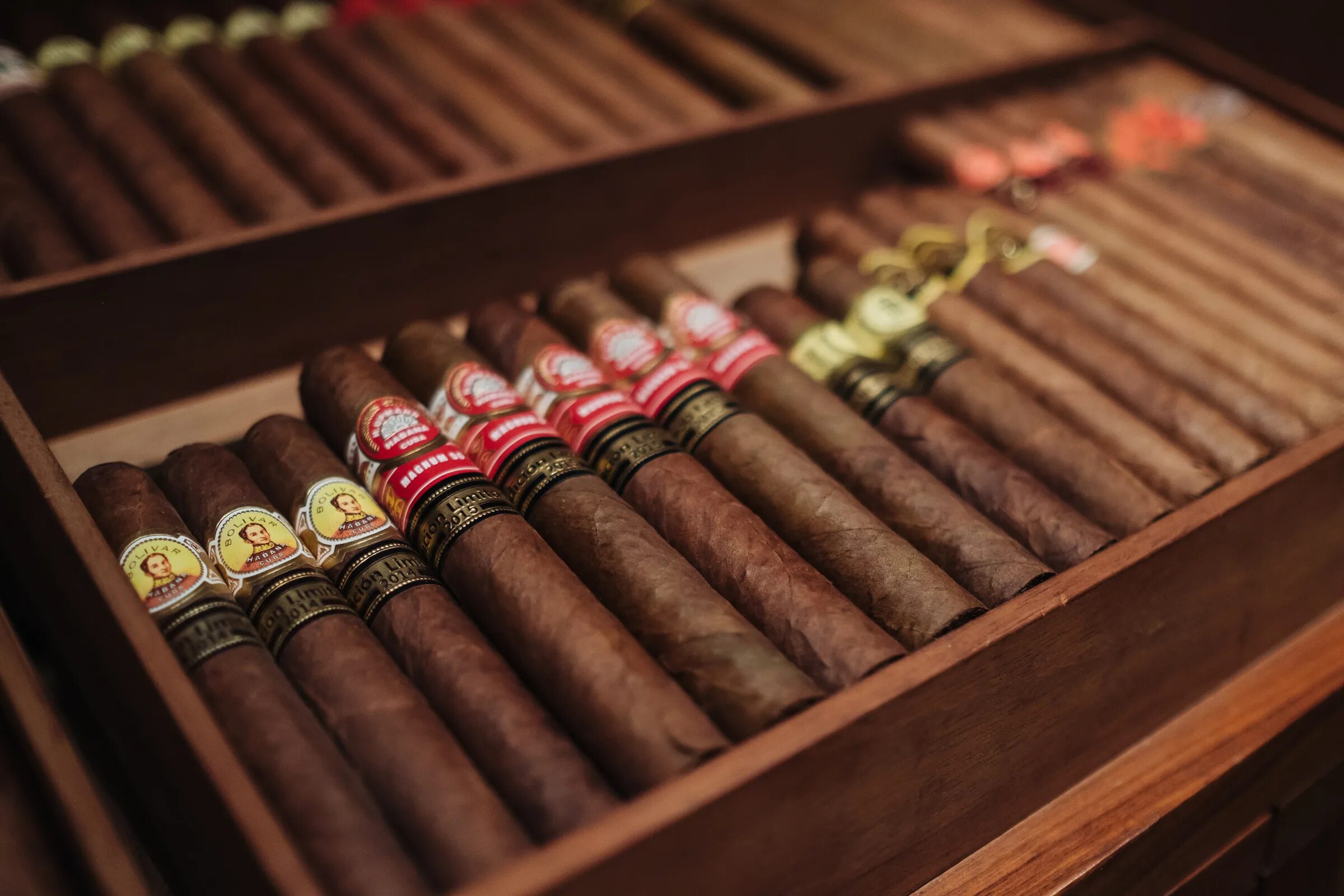 Cigar shop ru. Сигары Санто Доминго. Сигары курительные кубинские. Сигары Кинг Эдвардс. Старинные сигары.