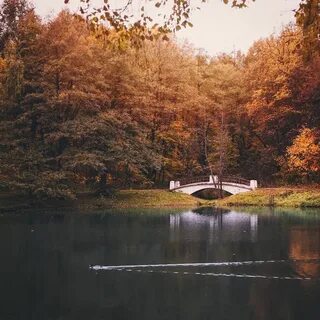 Октябрь beauty